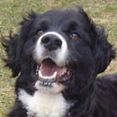 Linus was adopted in July, 2005